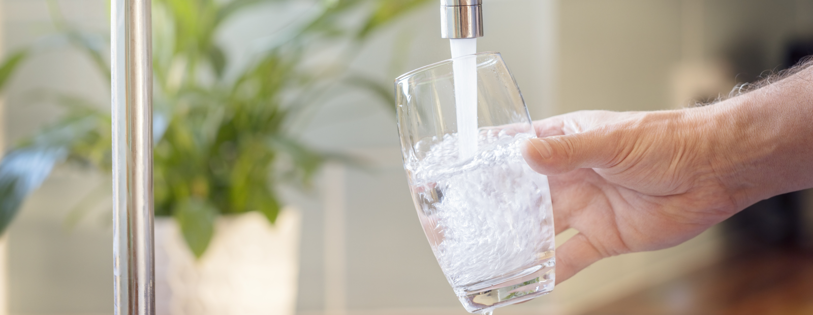 Trinkwasserfilter
